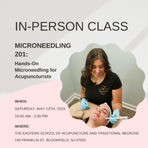 Microneedling 201 In Person